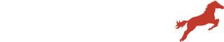 Equestrian WordPress Theme