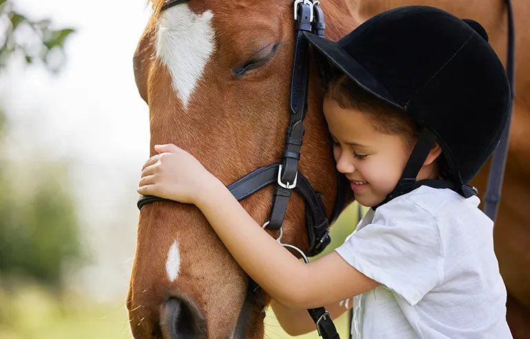 2_Hands_on_horses_kids_horsecare_shutterstock_2505857449