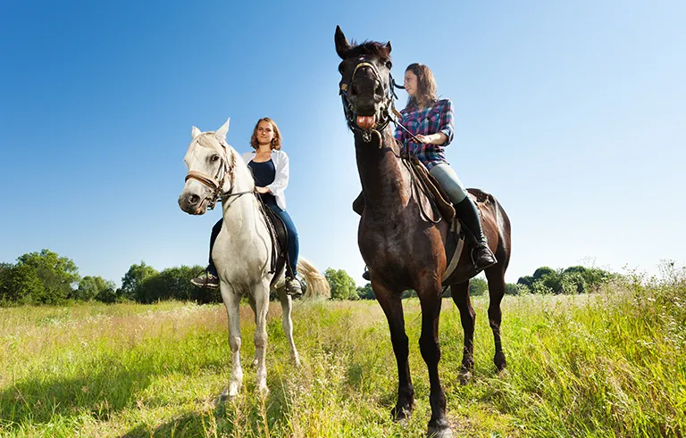 3_bareback club_shutterstock_512355424