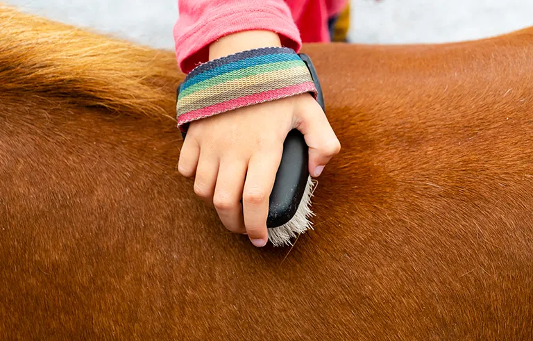 homeschool_horsemasters_shutterstock_2326471903